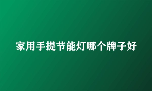 家用手提节能灯哪个牌子好
