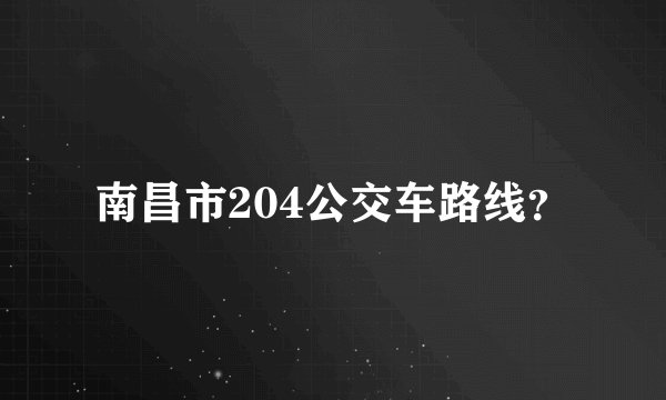 南昌市204公交车路线？