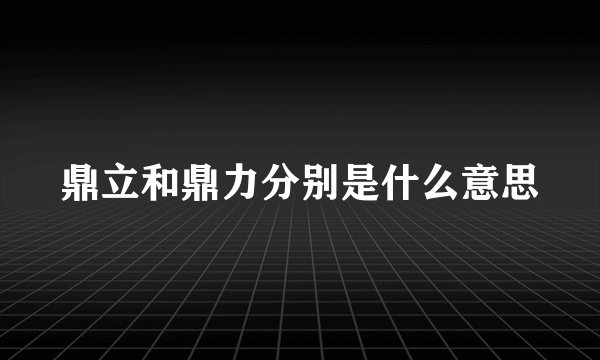 鼎立和鼎力分别是什么意思