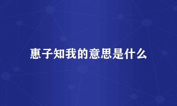 惠子知我的意思是什么