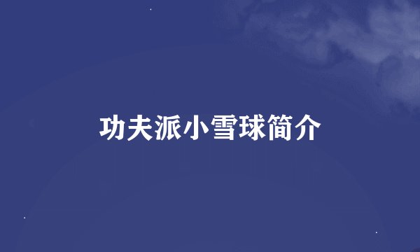 功夫派小雪球简介