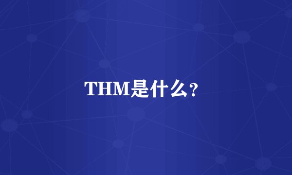 THM是什么？