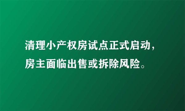 清理小产权房试点正式启动，房主面临出售或拆除风险。