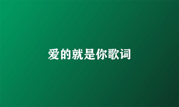 爱的就是你歌词