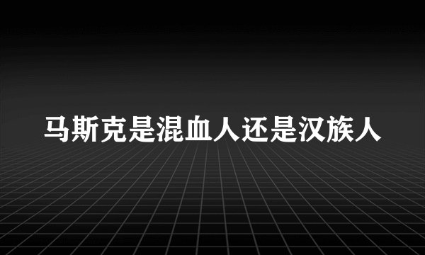 马斯克是混血人还是汉族人