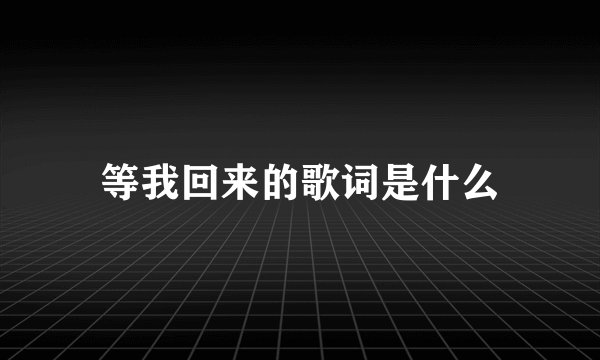 等我回来的歌词是什么