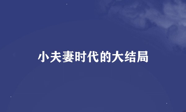 小夫妻时代的大结局