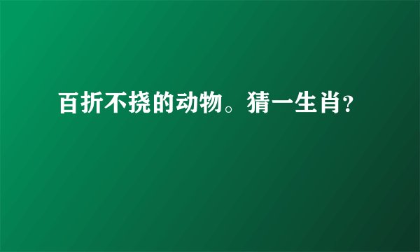百折不挠的动物。猜一生肖？