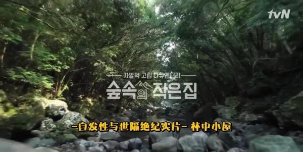 《林中小屋》 观众看的想睡觉，豆瓣评分9.0