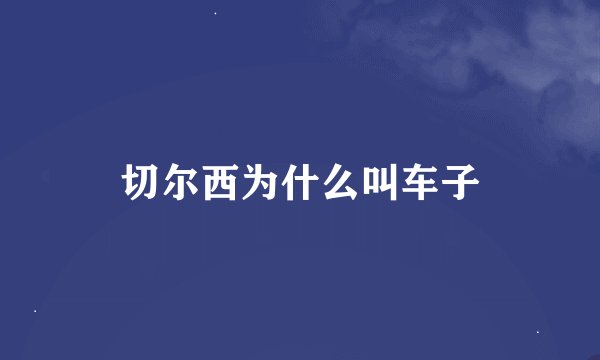 切尔西为什么叫车子