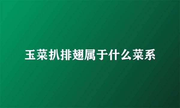 玉菜扒排翅属于什么菜系