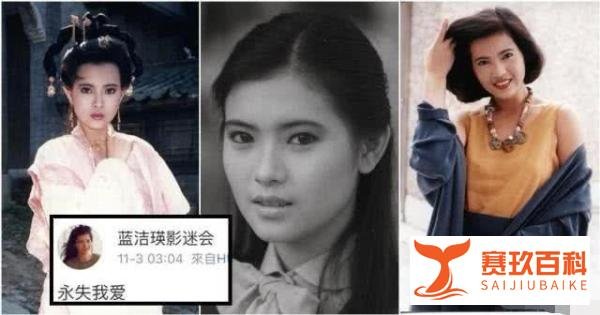 蓝洁瑛影迷会声称：有人利用蓝洁瑛敛财，不要上当受骗，没有募捐