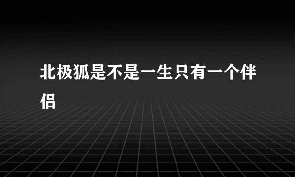 北极狐是不是一生只有一个伴侣