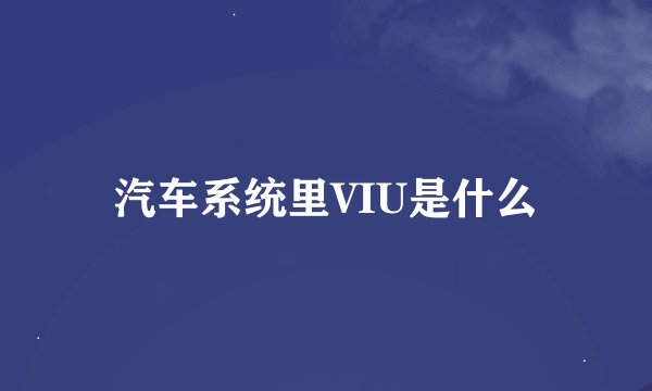 汽车系统里VIU是什么