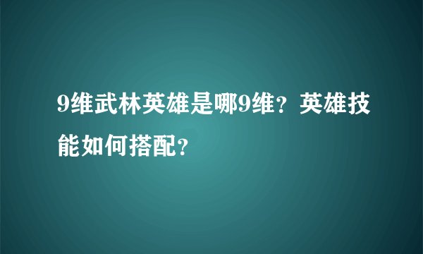 9维武林英雄是哪9维？英雄技能如何搭配？