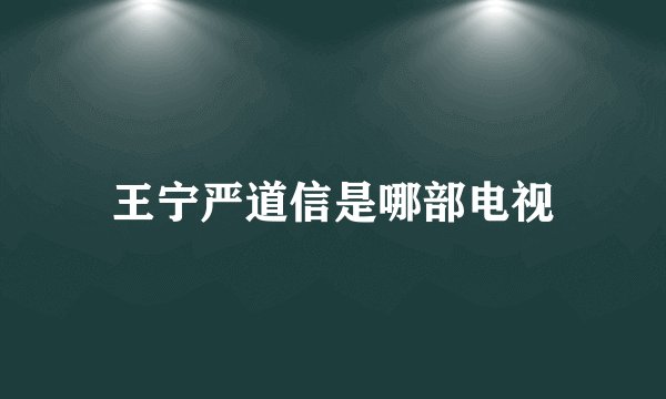 王宁严道信是哪部电视