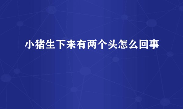 小猪生下来有两个头怎么回事