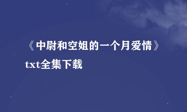 《中尉和空姐的一个月爱情》txt全集下载