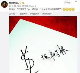 YSL为什么叫杨树林口红 YSL为啥叫杨树林