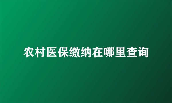 农村医保缴纳在哪里查询