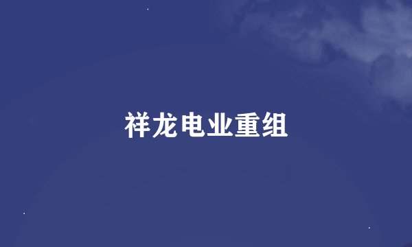 祥龙电业重组