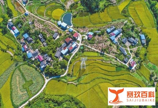 山东“合村并居”做法,为什么不可取?