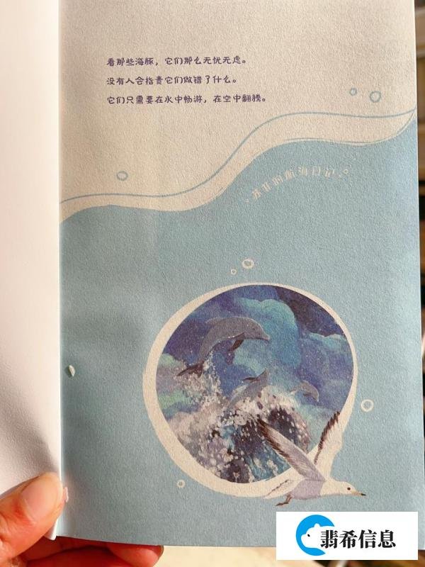 《苏菲的航海日记》:一次心灵与大海的双重冒险