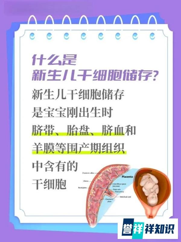 2025年，细胞存储要多少钱？