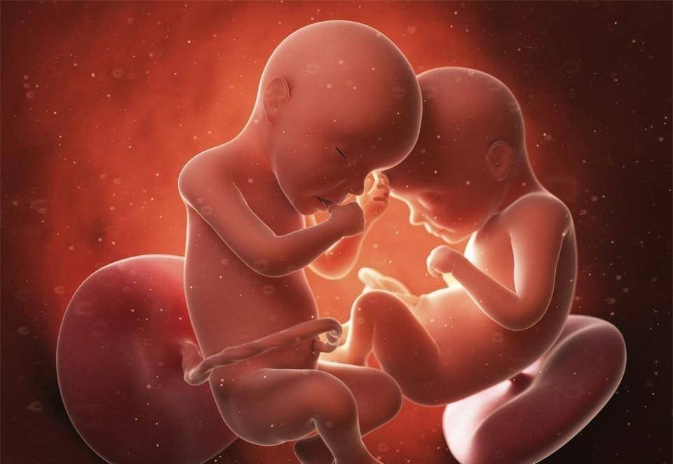墨西哥一女婴出生时长5.7厘米尾巴，这是人类返祖现象吗？