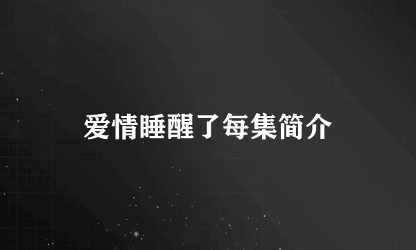 爱情睡醒了每集简介
