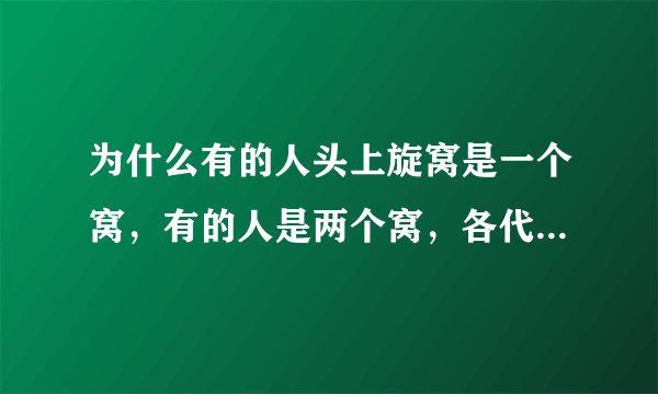 为什么有的人头上旋窝是一个窝，有的人是两个窝，各代表什么?