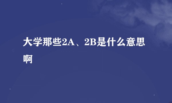 大学那些2A、2B是什么意思啊
