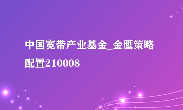 中国宽带产业基金_金鹰策略配置210008