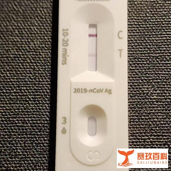 【个人向】2024年8月某(JN.1/XDV/KP.2)新冠感染康复全流程记录