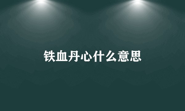 铁血丹心什么意思