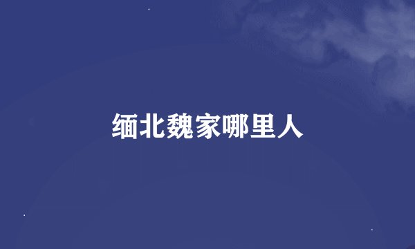 缅北魏家哪里人