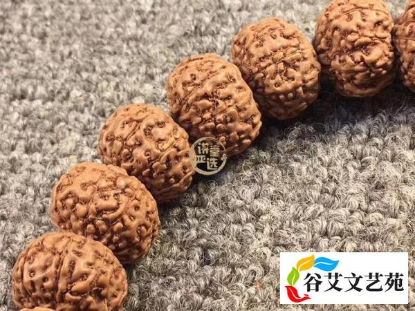 最完整的金刚菩提子价格参照