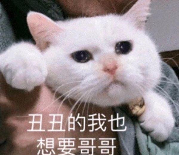 藤间斋的超详细介绍