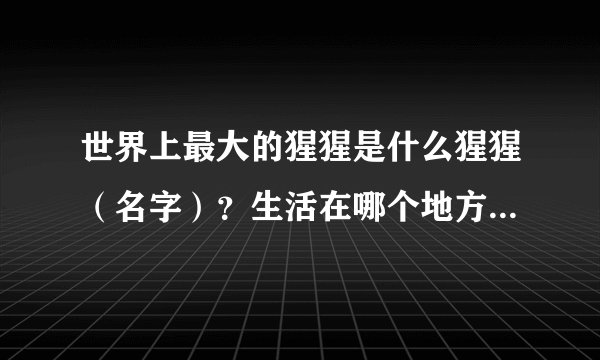 世界上最大的猩猩是什么猩猩（名字）？生活在哪个地方(地区名）？