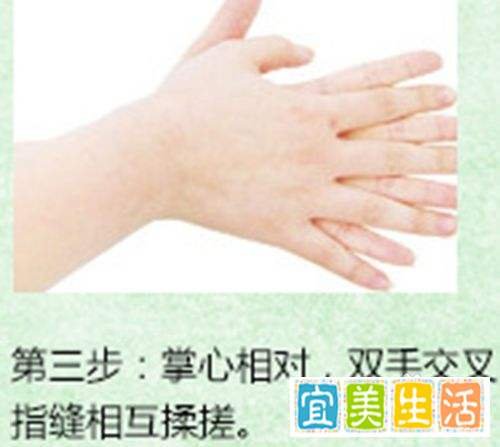 植荟之源芦荟净手凝露（免洗洗手液）使用方法