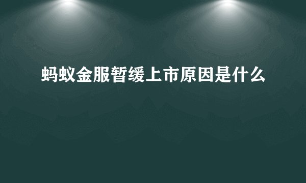 蚂蚁金服暂缓上市原因是什么