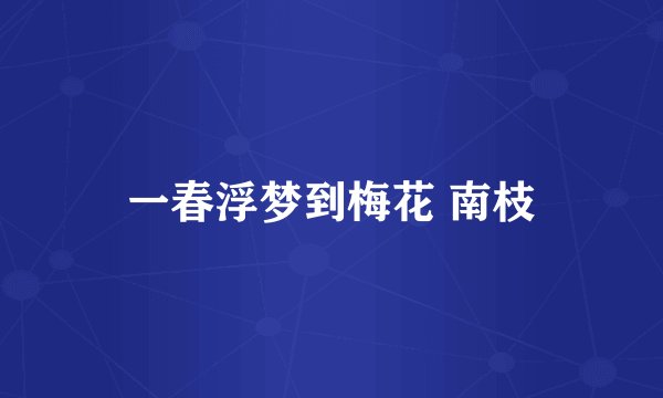 一春浮梦到梅花 南枝