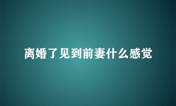 离婚了见到前妻什么感觉