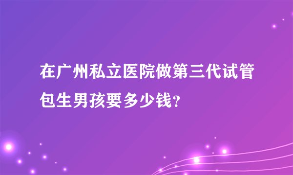 在广州私立医院做第三代试管包生男孩要多少钱？