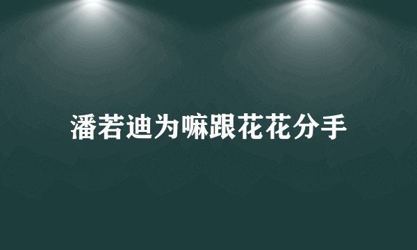 潘若迪为嘛跟花花分手