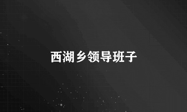 西湖乡领导班子
