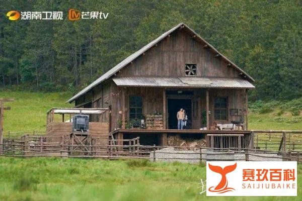 《繁花》带火“老上海”，16888元一晚的酒店套房被抢空