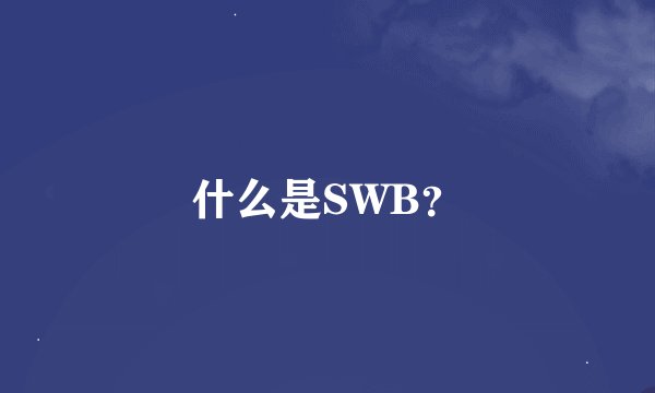 什么是SWB？