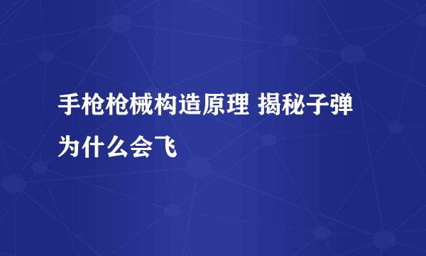 手枪枪械构造原理 揭秘子弹为什么会飞