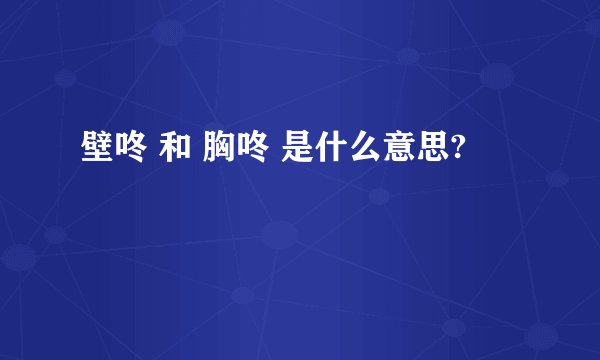 壁咚 和 胸咚 是什么意思?